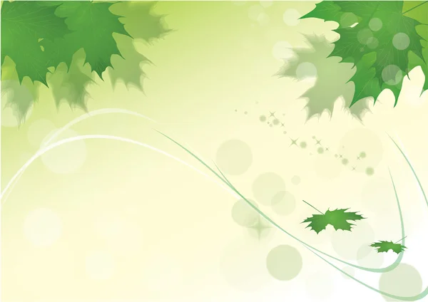 Grüne Blätter Hintergrund — Stockvektor