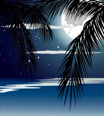 Geceleyin okyanus, dolunay ve yıldızlar.