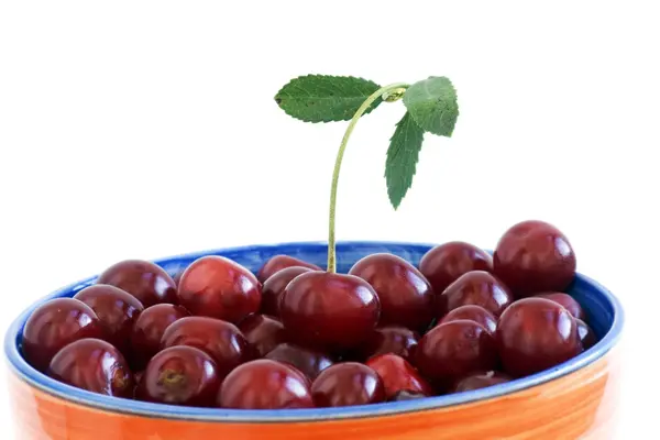Mogen sweet cherry — Stockfoto