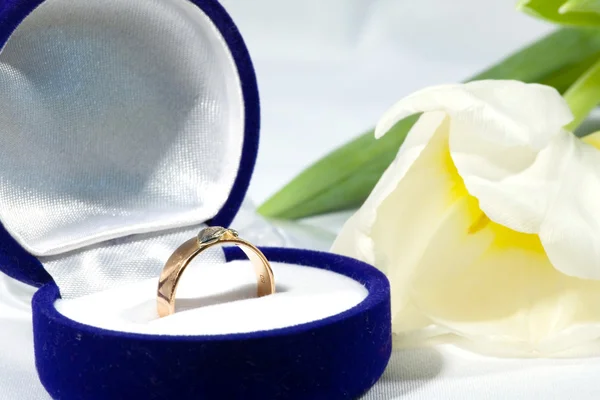 Arany gyűrű a tulipán — Stock Fotó
