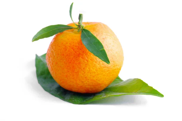 叶在白色背景上的橘子 — 图库照片