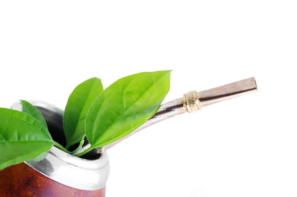 Cupa Mate cu frunze verzi yerba — Fotografie, imagine de stoc