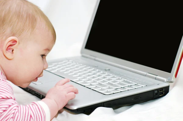 stock image Baby working on Laptop