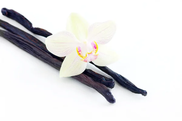Orchid with vanilla beans — Stock Photo, Image