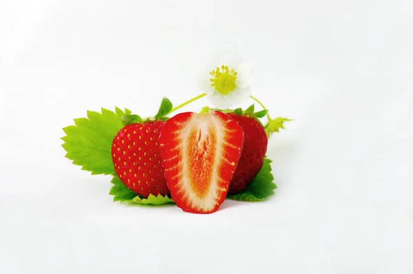 Strawberries and flowers on white background — Stock Photo, Image