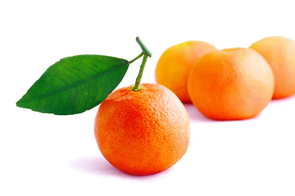 Mandarin levelekkel fehér alapon — Stock Fotó