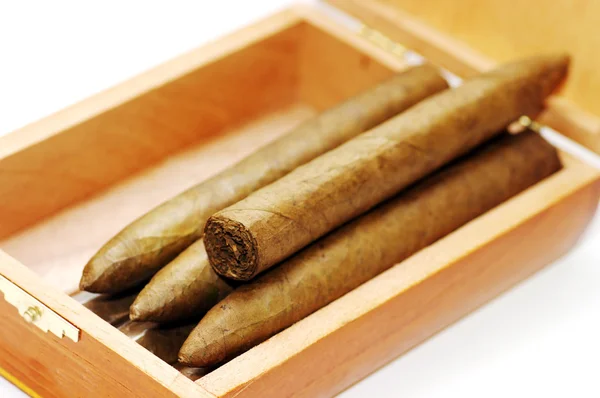 Cigars in box — Stock Photo, Image