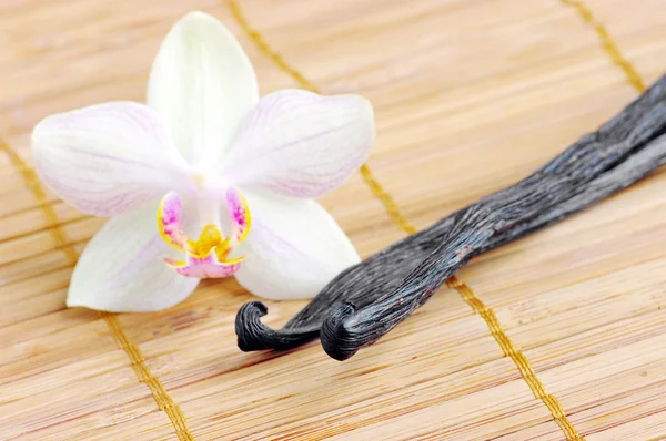 Orchidée avec des gousses de vanille sur le tapis — Photo