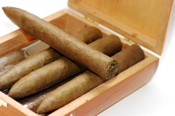Textura de cigarros. Cigarros en caja . — Foto de Stock