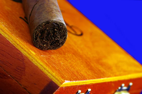 一个雪茄 — 图库照片