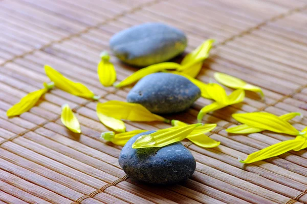 stock image Spa stones with flower petals