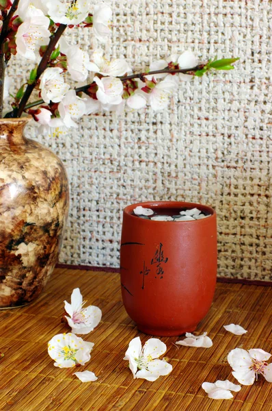 Tee mit Aprikosenblüten und weißer Teekanne — Stockfoto