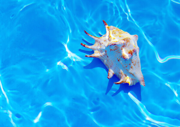 Морской ад под водой
.