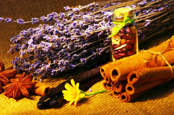 Bakgrund av olika färgglada kryddor — Stockfoto