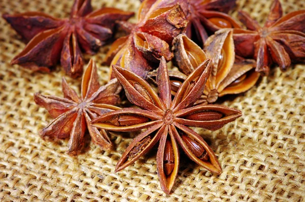 Heap of badyan seeds — Stock Photo, Image
