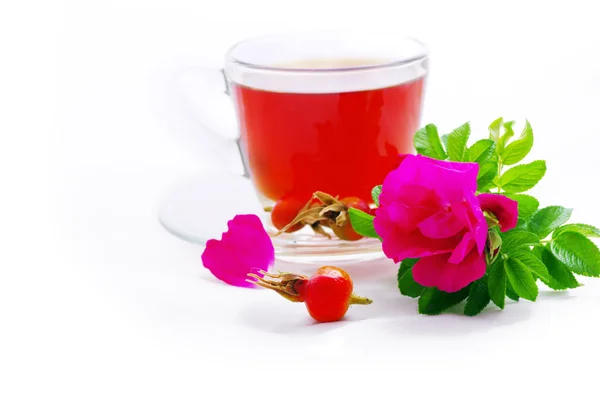 Chá de ervas em xícara de vidro com flores de rosa de cachorro em uma parte traseira branca — Fotografia de Stock