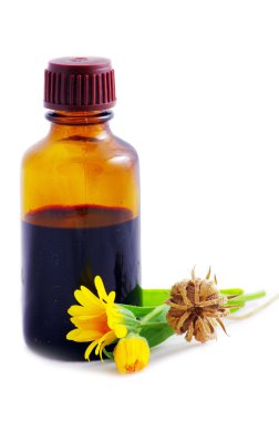 Herbal medicine clipart