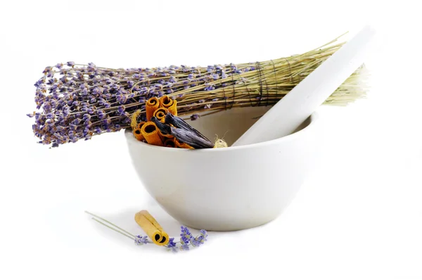 Healing herbs in white ceramic mortar and pestle — Stock Photo, Image