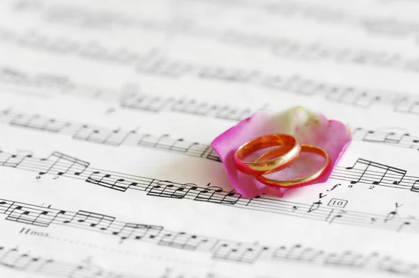 Rose and wedding bands on note — Stock Photo, Image