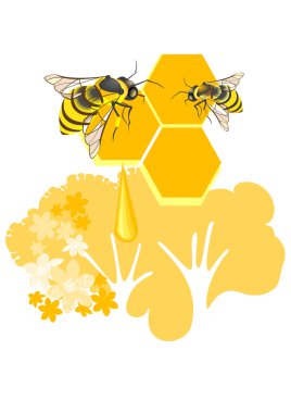 Honeycombs clipart