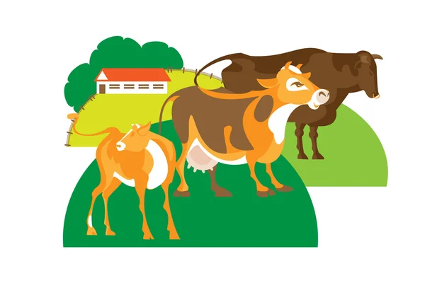 Bull, cow and calf — Stock Vector