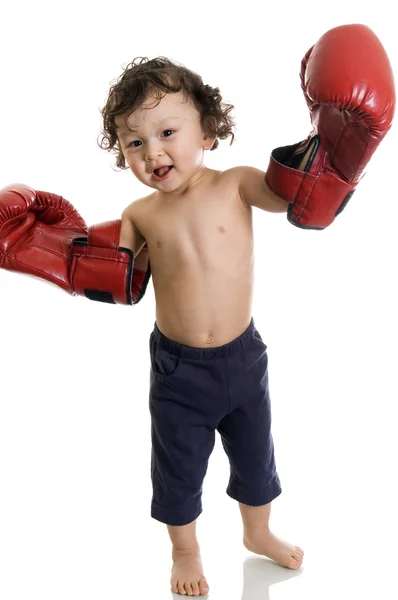 The young boxer. — Stock Photo, Image