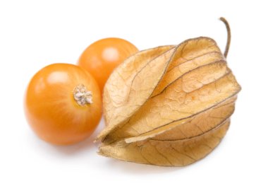 Physalis clipart