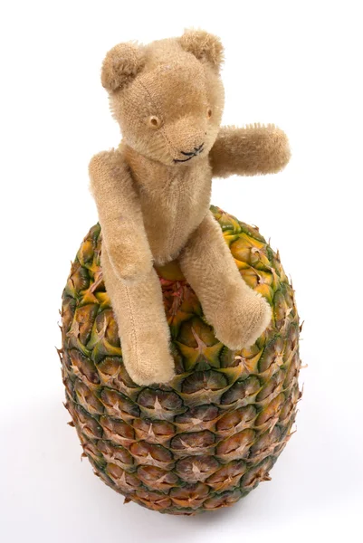 Pineapple teddy Stock Image