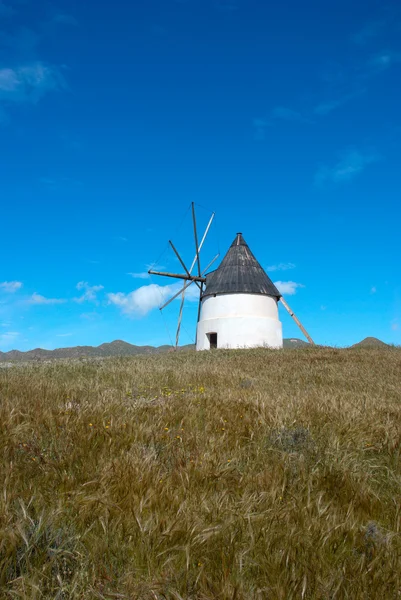 stock image Windmill