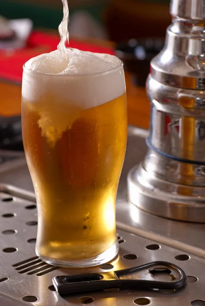 Pint of lager — Stock Photo, Image