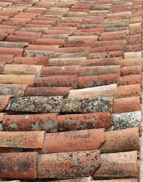 Çatı kiremit — Stok fotoğraf
