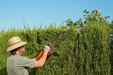 Pruning a hedge clipart