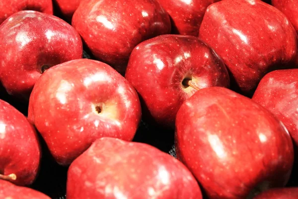 Manzanas rojas Fotos de stock libres de derechos