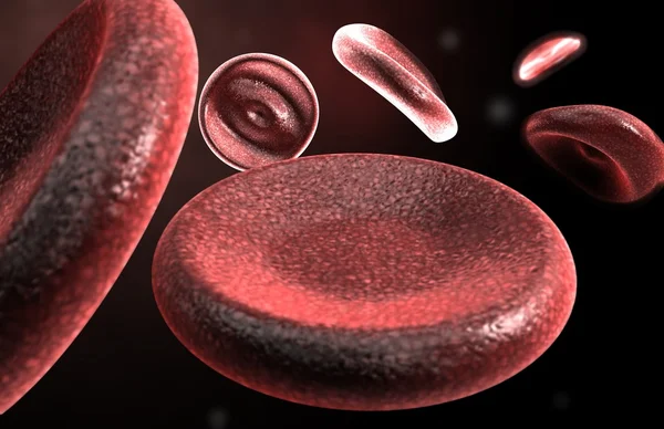 Glóbulos rojos — Foto de Stock