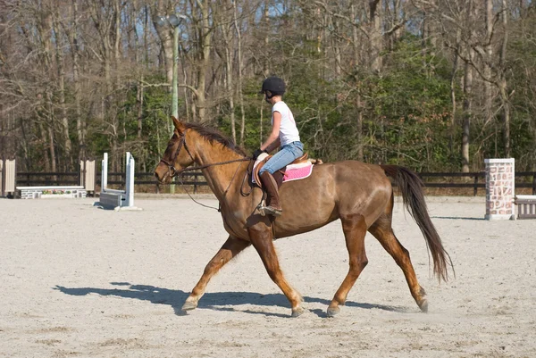 Young Woman Equestrian Training — Stock Photo, Image