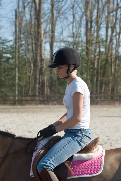 stock image Young Woman Equestrian Training