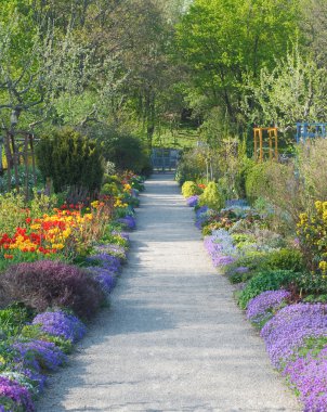 Walkway Through Spring Blossoms clipart