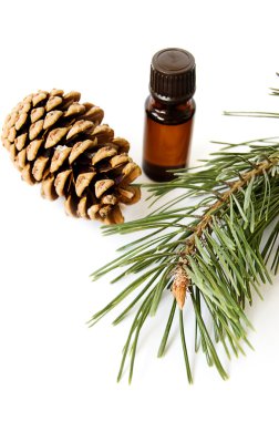 Bottle of fir tree oil clipart