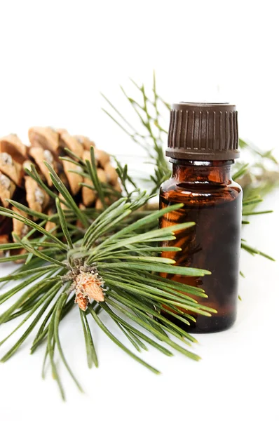 Láhev fir tree oil — Stock fotografie