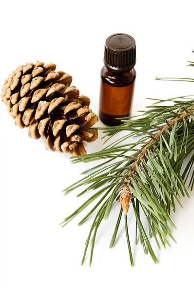 Láhev fir tree oil — Stock fotografie