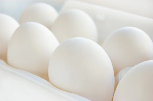 Fehér tojás — Stock Fotó