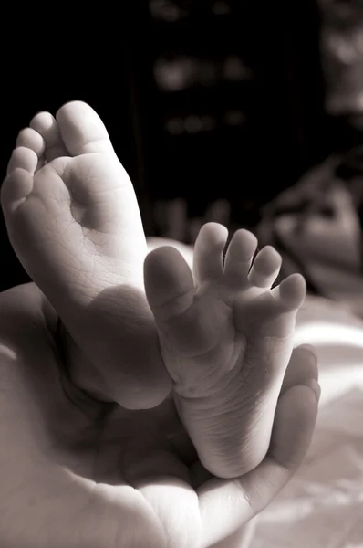 Los pies del bebé en las manos de la madre —  Fotos de Stock