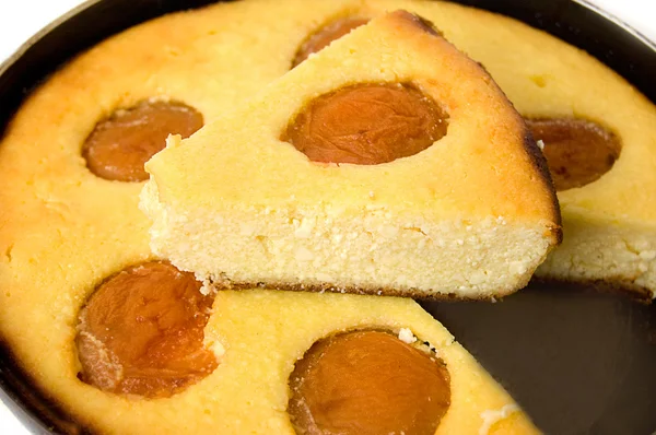 Pudding met abrikoos — Stockfoto