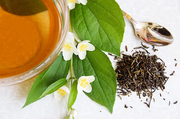 Groene thee en jasmijn — Stockfoto