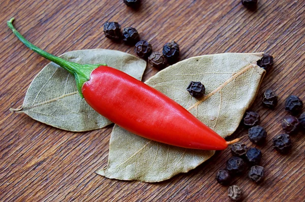 Pimienta roja y negra con hojas de laurel —  Fotos de Stock