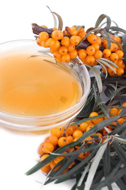 Tea of sea-buckthorn clipart