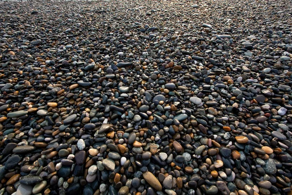 Stock image Sea pebble