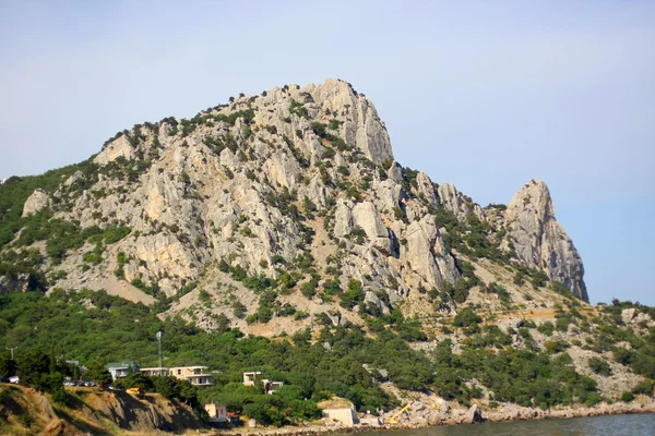 stock image Mountain Cat, Simeiz, Crimea, Ukraine, 21 June 2010.