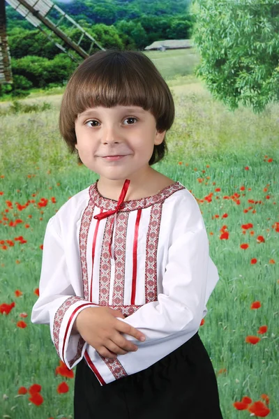 Boy in traditional costume against the backdrop of the field — Stock Photo, Image
