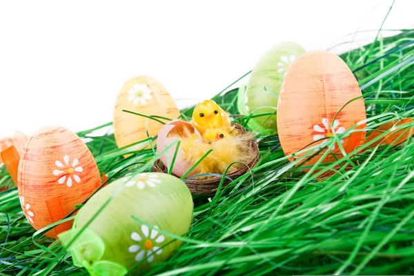 Easter eggs, chicken in grass — Stock Photo, Image
